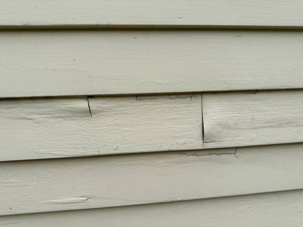 Best Insulated Siding Installation  in Occoquan, VA